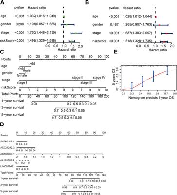 Identification of novel lactate metabolism-related lncRNAs with prognostic value for bladder cancer